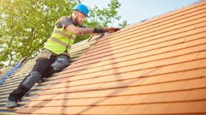 Best Roof Moss and Algae Removal  in West Liberty, OH
